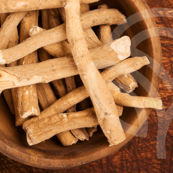 Ashwagandha NSP Ashwagandha NSP NSP, model 23072| Obraz nr 1