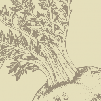 Boost NSP NSP, model 1121| Obraz nr 1