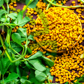 Fenugreek & Thyme NSP NSP, model 885| Obraz nr 1