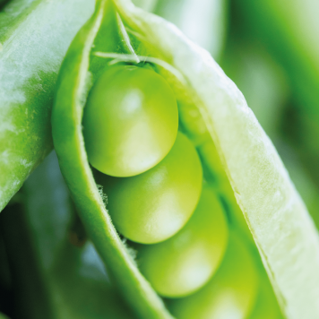 SmartMeal 2-pak NSP, model 65010| Obraz nr 1