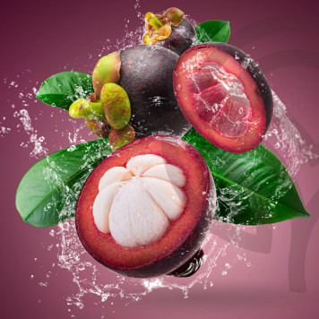 Zambroza NSP Zambroza NSP NSP, model 4104| Obraz nr 2