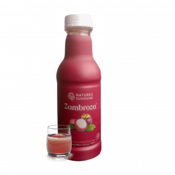 Zambroza NSP NSP, model 4104| Obraz nr 1