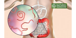 Jak bezpiecznie i naturalnie pokonać pasożyty i kandydozę: program NSP