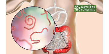 Jak bezpiecznie i naturalnie pokonać pasożyty i kandydozę: program NSP