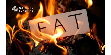 Dlaczego organizm potrzebuje tłuszczu? Rola tkanki tłuszczowej w obronie toksykologicznej