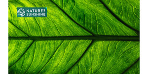 Inteligentne produkty na żylaki: doświadczenie NSP