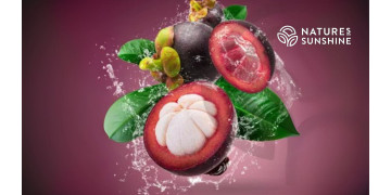 Purpurowa tarcza: jak Zambroza poprawia zdrowie naczyń krwionośnych i spowalnia starzenie się organizmu Purpurowa tarcza: jak Zambroza poprawia zdrowie naczyń krwionośnych i spowalnia starzenie się organizmu